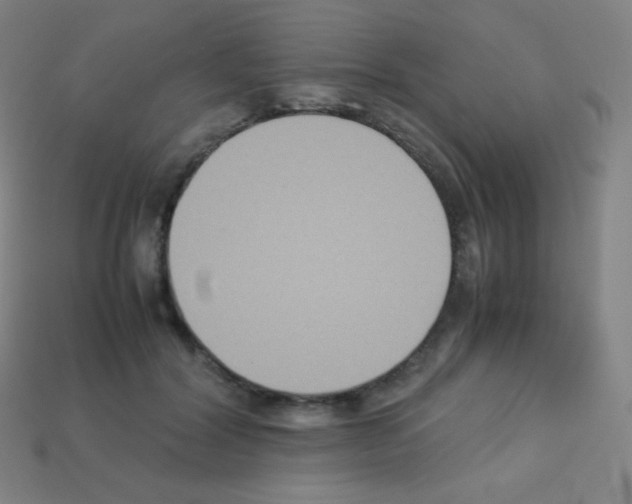 X0000113110604200910091201