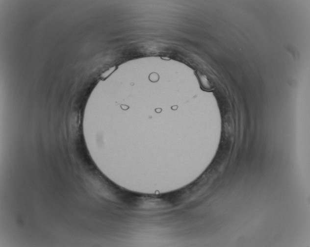 X0000113110605200910091201