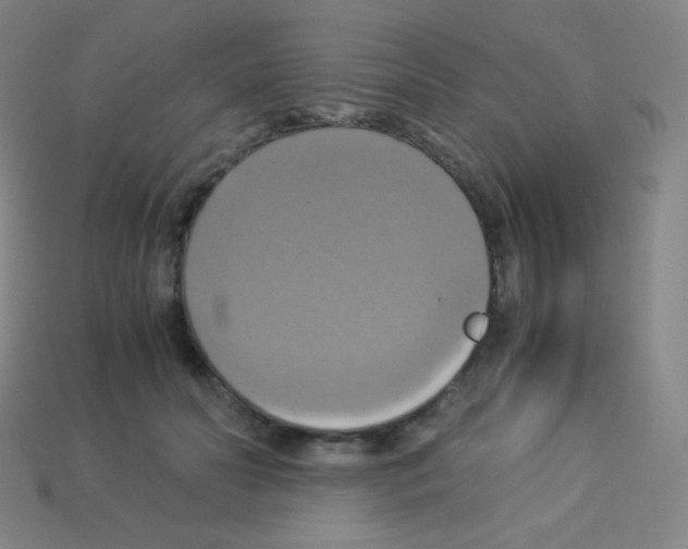 X0000113110606200910091201