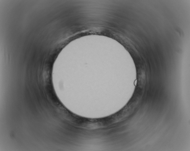 X0000113110608200910091201