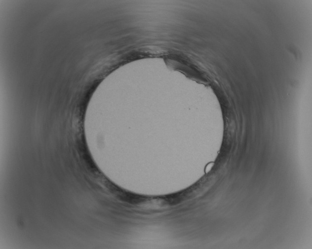 X0000113110609200910091201
