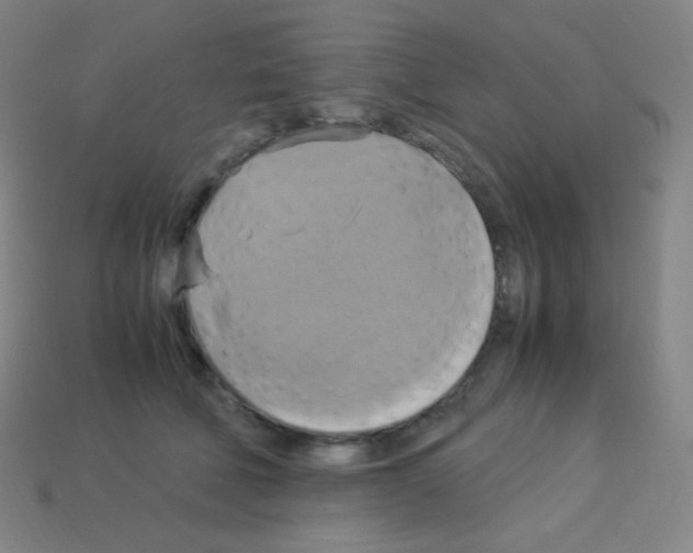 X0000113110610200910091201