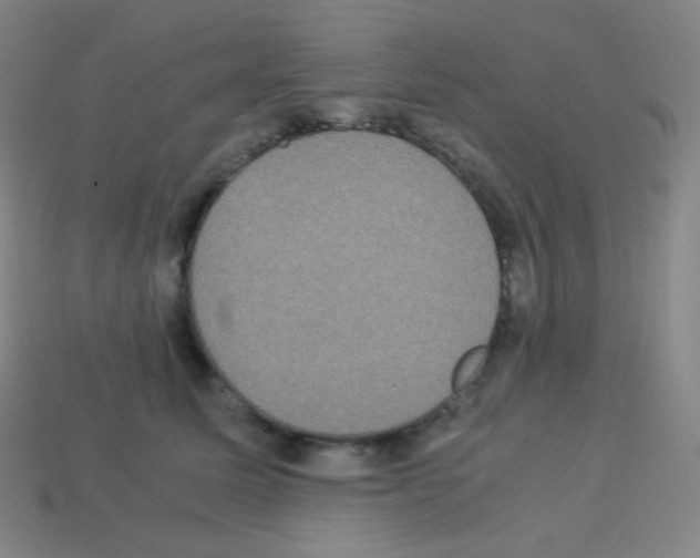 X0000113110611200910091201