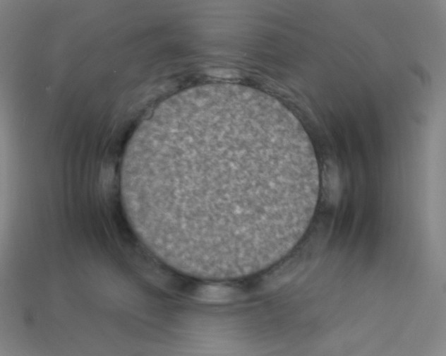X0000113110614200910091201