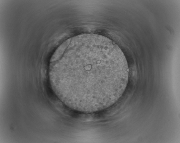 X0000113110615200910091201