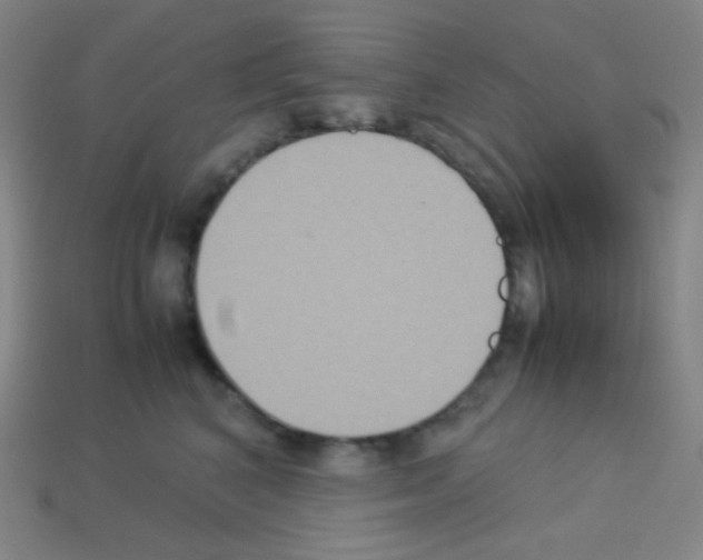 X0000113110616200910091201