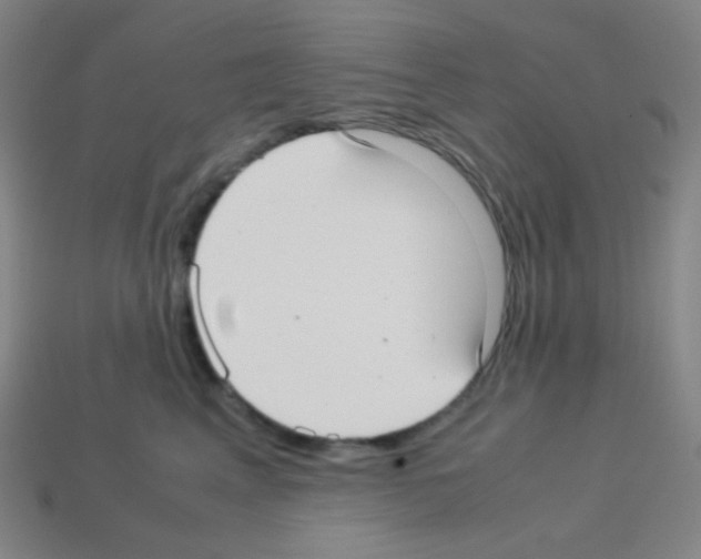 X0000113110617200910091201