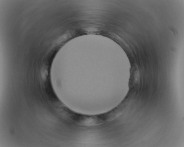 X0000113110618200910091201