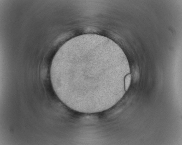 X0000113110619200910091201