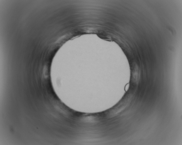 X0000113110620200910091201