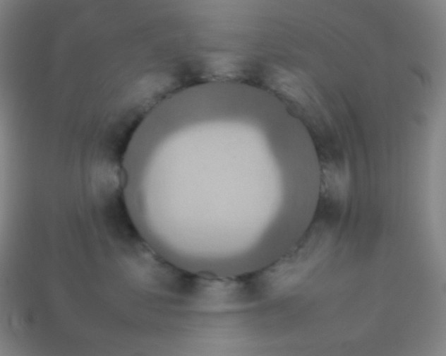 X0000113110621200910091201