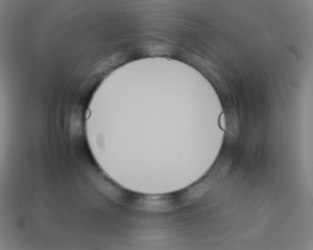 X0000113110622200910091201