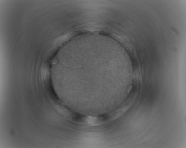 X0000113110623200910091200