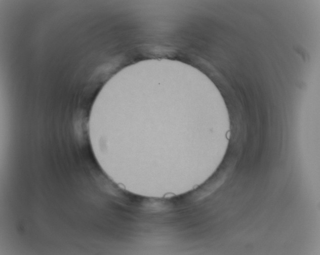 X0000113110624200910091200