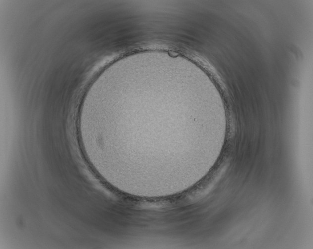 X0000113110625200910091200