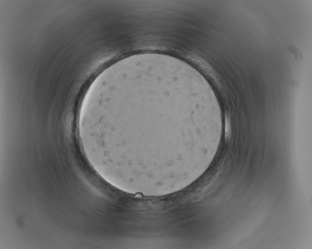 X0000113110627200910091200
