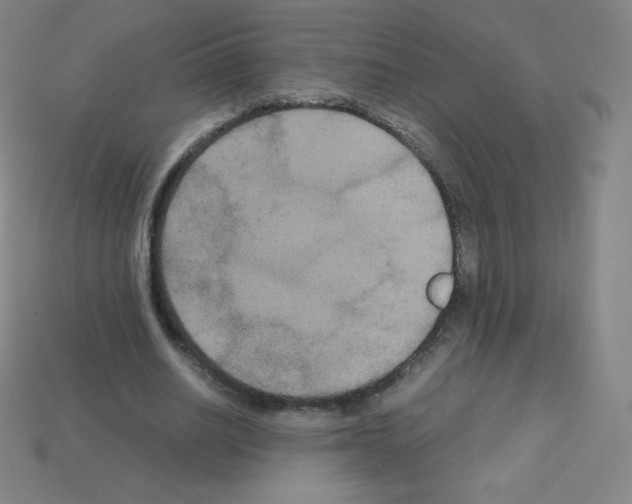 X0000113110630200910091200