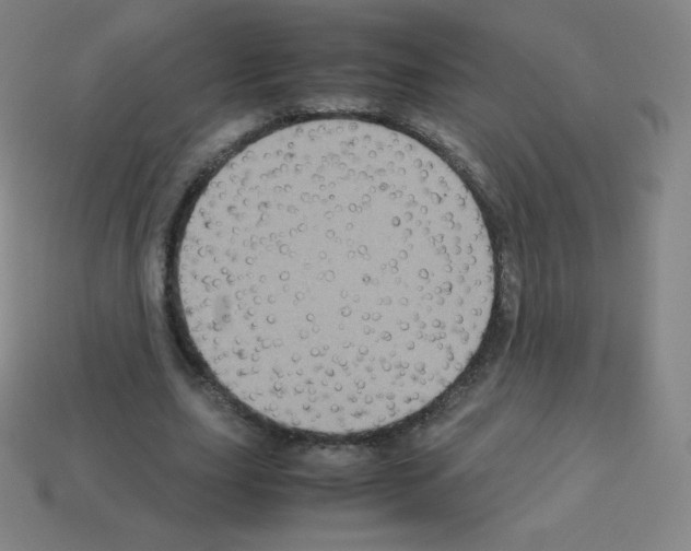 X0000113110631200910091200