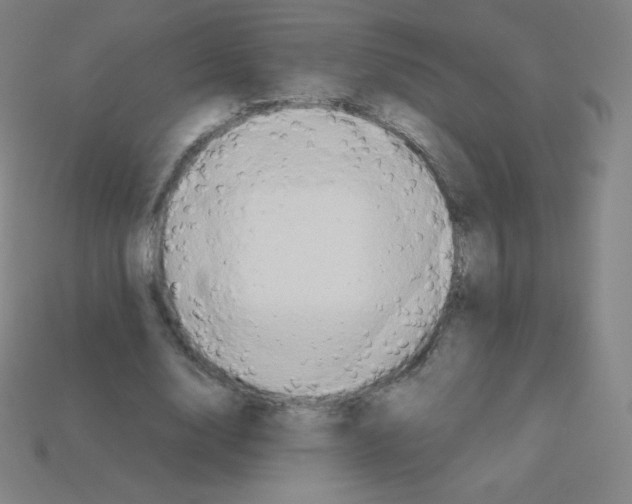 X0000113110632200910091200