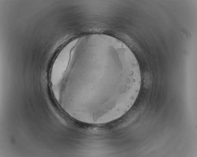 X0000113110634200910091200