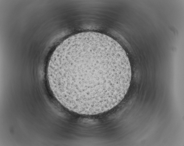 X0000113110635200910091200