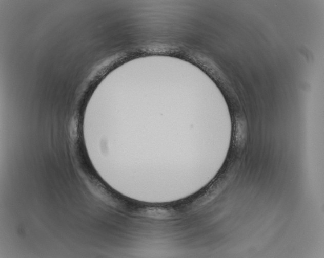 X0000113110636200910091200