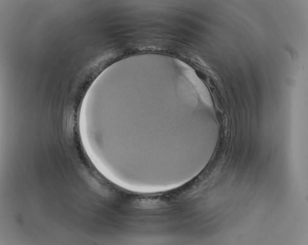X0000113110637200910091200