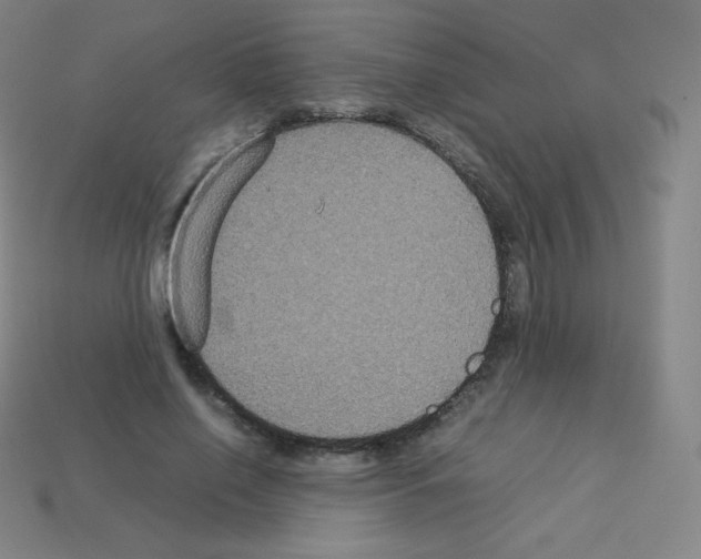 X0000113110638200910091200