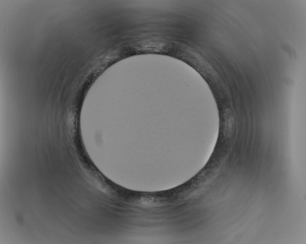 X0000113110641200910091200