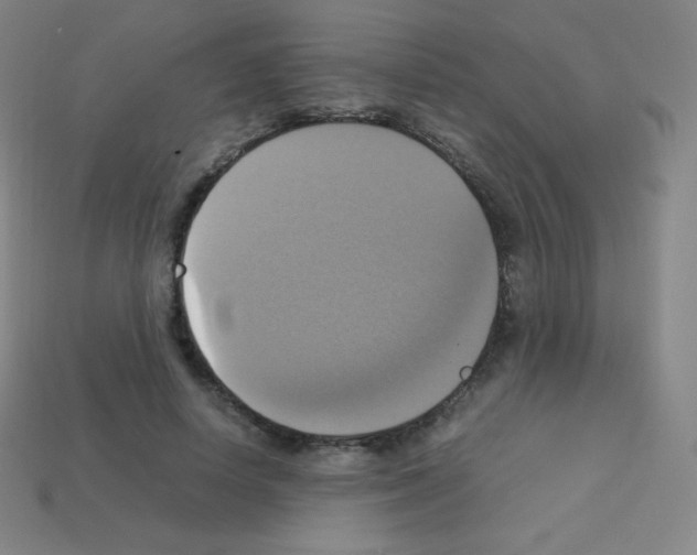X0000113110642200910091200