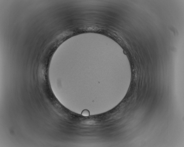 X0000113110643200910091200