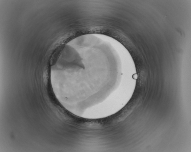 X0000113110644200910091200