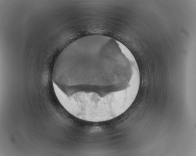 X0000113110647200910091200