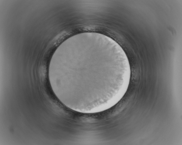 X0000113110648200910091200
