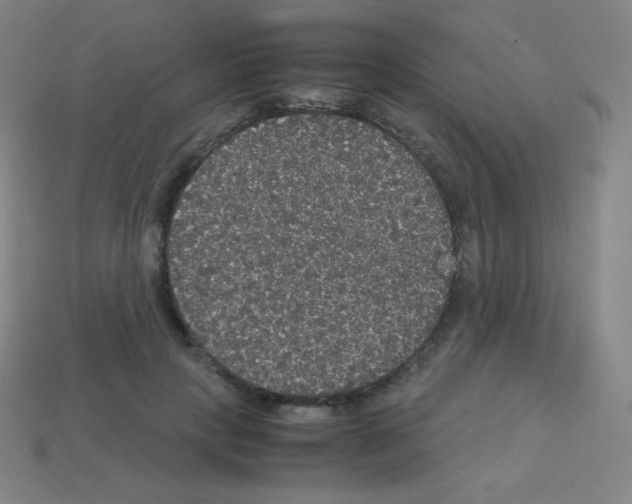 X0000113110649200910091200