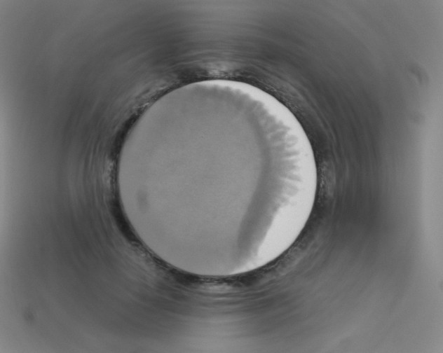 X0000113110650200910091200