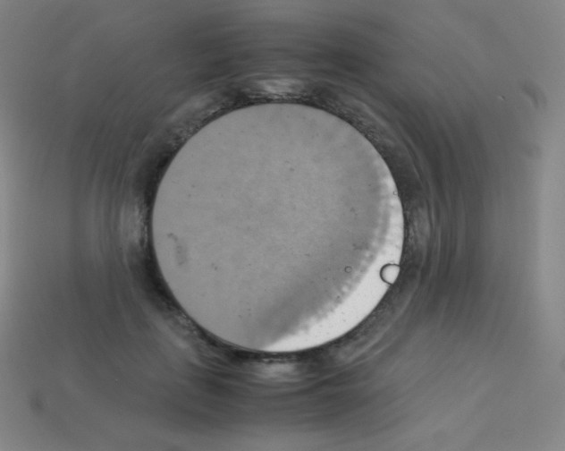 X0000113110651200910091200