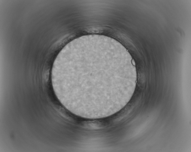X0000113110652200910091200
