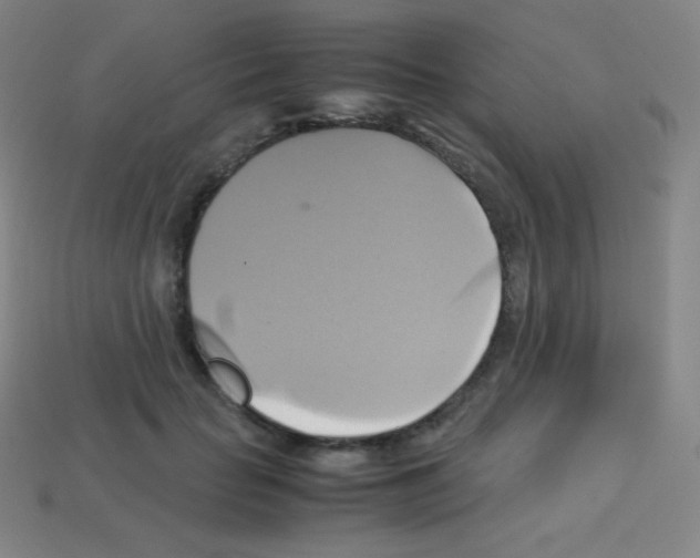 X0000113110653200910091200