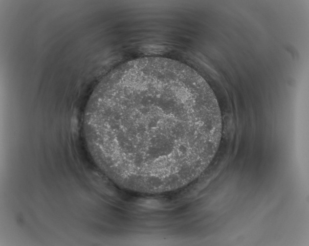 X0000113110655200910091200