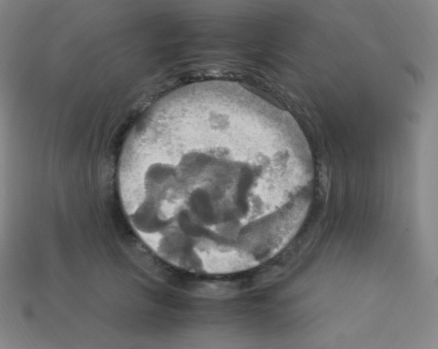 X0000113110657200910091200