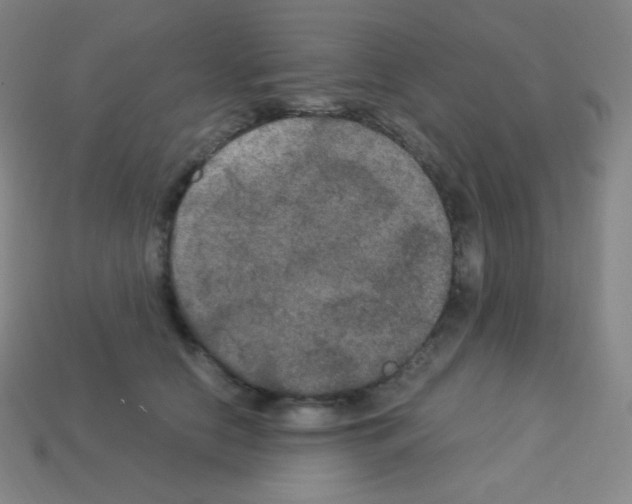 X0000113110658200910091200