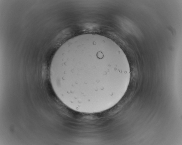 X0000113110659200910091200