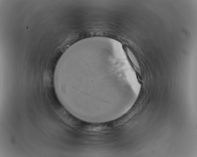 X0000113110661200910091200
