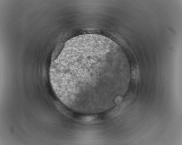 X0000113110662200910091200
