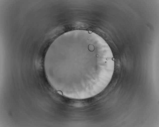 X0000113110663200910091200