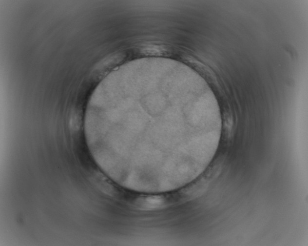 X0000113110665200910091200