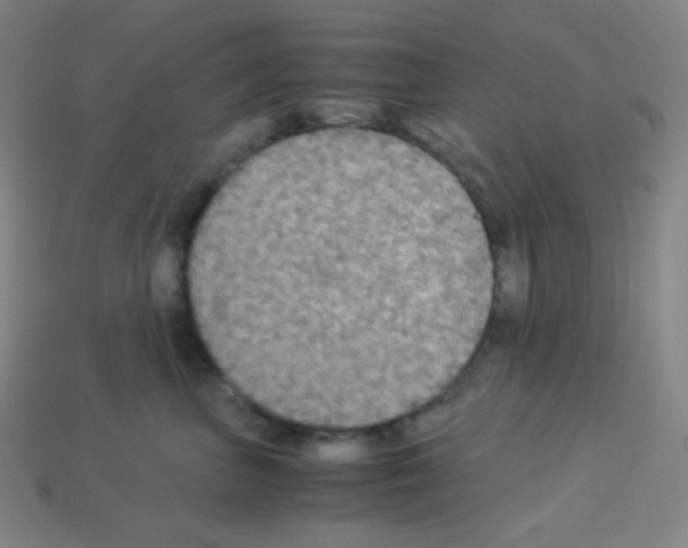 X0000113110667200910091200