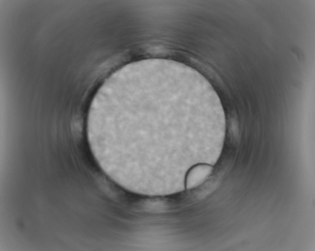 X0000113110668200910091200