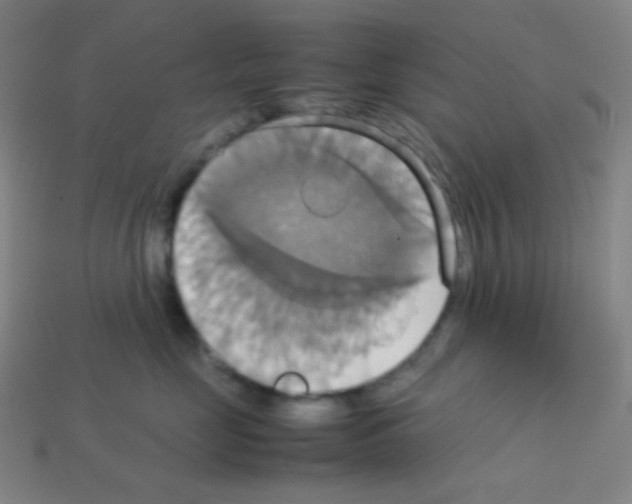 X0000113110669200910091200